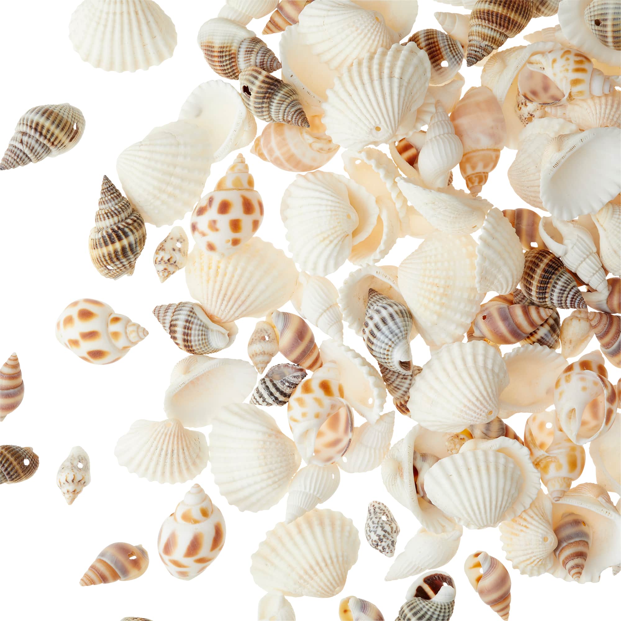 Shell Beads by Bead Landing™